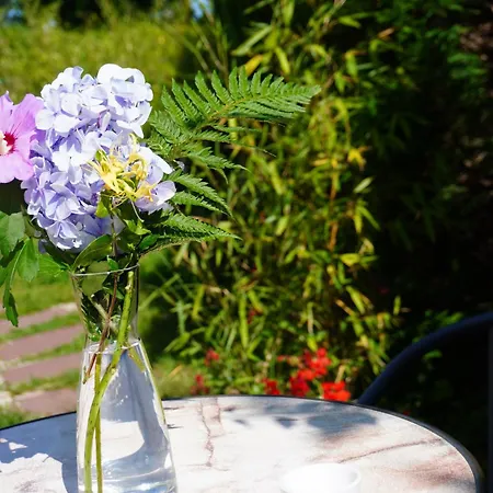 La Quintita - Avec Jardin Bed and breakfast Biarriz